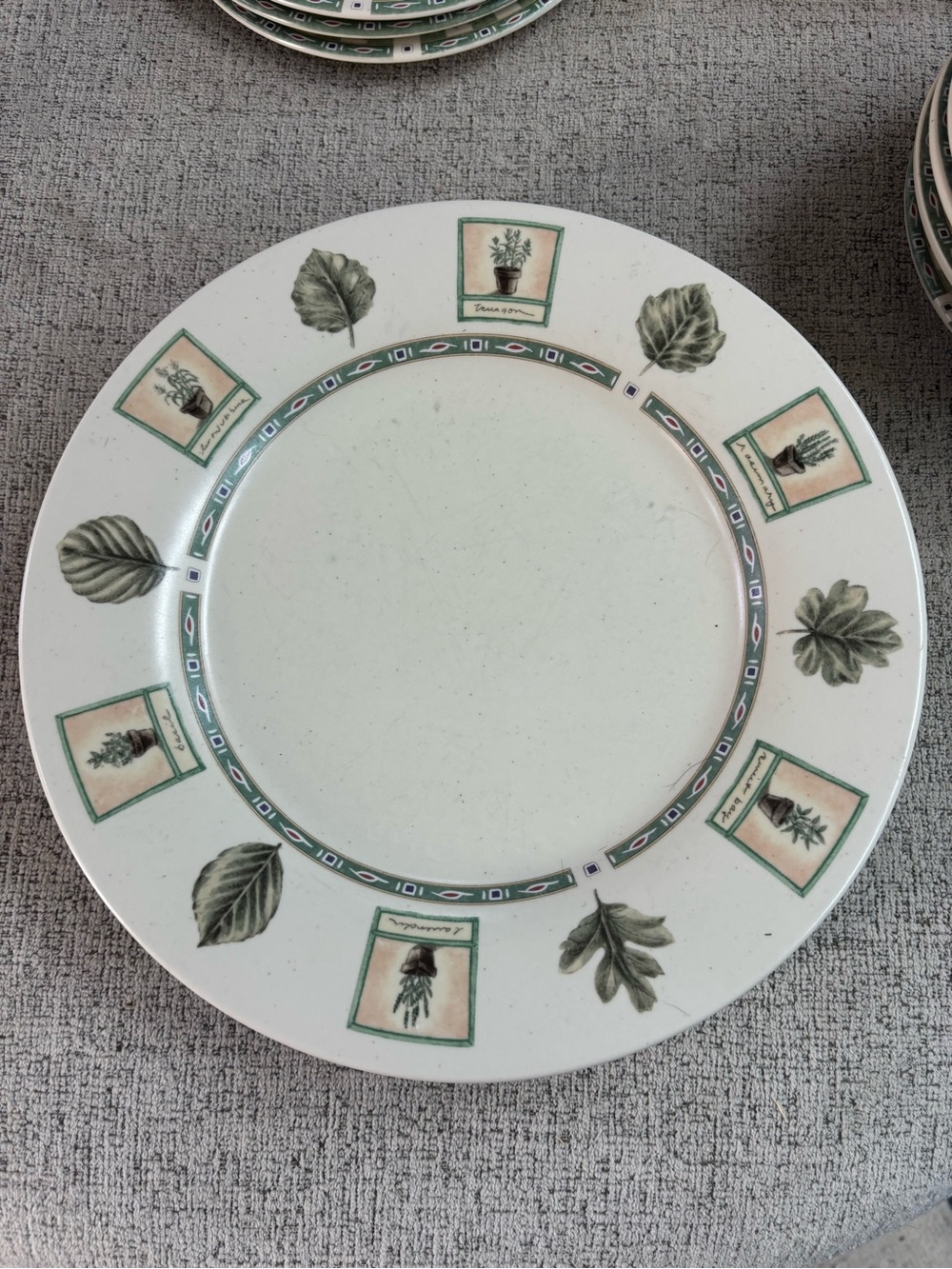 Pfaltzgraff Herb Motif Ceramic Dinner Plate in Green and Cream - set of 6